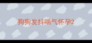 狗狗发抖喘气怀孕