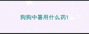 狗狗中暑用什么药