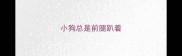 小狗总是前腿趴着