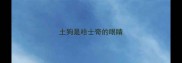 土狗是哈士奇的眼睛