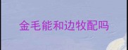 金毛能和边牧配吗