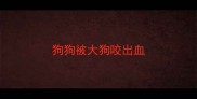 狗狗被大狗咬出血