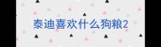 泰迪喜欢什么狗粮