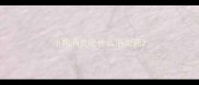 小狗消炎吃什么消炎药