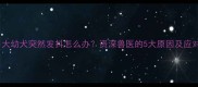 两个月大幼犬突然发抖怎么办资深兽医的5大原因及应对指南