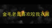 金毛老是喜欢咬我衣服