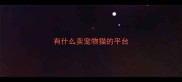 有什么卖宠物猫的平台
