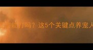 小狗咳嗽打疫苗能打吗这5个关键点养宠人必看