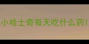 小哈士奇每天吃什么药