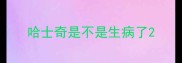 哈士奇是不是生病了