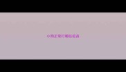 小狗正常打哪些疫苗