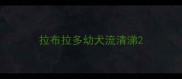 拉布拉多幼犬流清涕