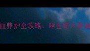 宠物合照拍摄指南与混血养护全攻略哈士奇泰迪的萌趣互动与科学养育