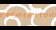 是狼狗好还是哈士奇好