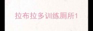拉布拉多训练厕所