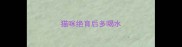 猫咪绝育后多喝水