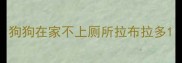 狗狗在家不上厕所拉布拉多