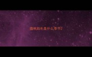 猫咪脱毛是什么季节