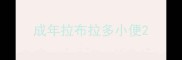 成年拉布拉多小便
