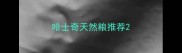 哈士奇天然粮推荐