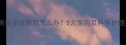 猫咪眼屎多流眼泪怎么办5大原因及科学护理指南