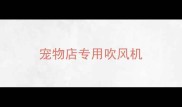 宠物店专用吹风机