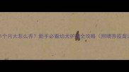 边境牧羊犬1个月大怎么养新手必看幼犬护理全攻略附喂养疫苗训练要点