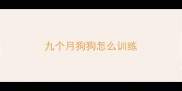 九个月狗狗怎么训练