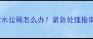 拉布拉多吐黄水拉稀怎么办紧急处理指南与常见原因