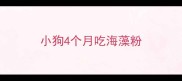 小狗4个月吃海藻粉