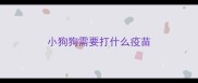 小狗狗需要打什么疫苗