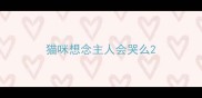 猫咪想念主人会哭么
