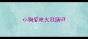 小狗爱吃火腿肠吗