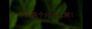 冬天两个月大比熊