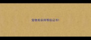 宠物美容师等级证书